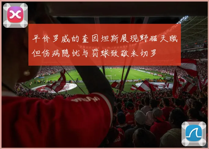 平价罗威的奎因坦斯展现野猫天赋但伤病隐忧与罚球致敬米切罗
